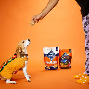 Blue Buffalo Health Bars Dog Biscuits Pumpkin and Cinnamon 16 oz Oven Baked