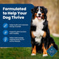 Blue Buffalo Life Protection Adult Dog Food, Chicken & Brown Rice Recipe, 15 lb Bag