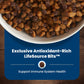 Blue Buffalo Small Breed Adult Dog Food Chicken and Brown Rice 5 lb Dry Kibble Natural Ingredients