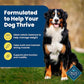 Blue Buffalo Life Protection Dry Dog Food, Adult Healthy Weight, Chicken & Brown Rice, 15 lb Bag
