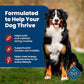 Blue Buffalo Life Protection Dry Dog Food Adult Beef and Brown Rice 30 lb Bag Natural Ingredients