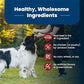 Blue Buffalo Life Protection Dry Dog Food Adult Beef and Brown Rice 30 lb Bag Natural Ingredients