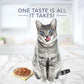 Blue Buffalo Tastefuls Flaked Wet Cat Food Variety 12 Pack 5.5 oz Tuna Chicken Shrimp Entrees