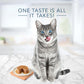 Blue Buffalo Tastefuls Pate Cat Food Variety Pack 3 oz 12 Cans Salmon Chicken Ocean Fish Tuna