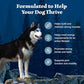 Blue Buffalo Wilderness Adult Dry Dog Food 28 lb Chicken Recipe High Protein Natural Kibble