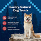 Blue Buffalo Wilderness Wild Bits Salmon Recipe 10 oz Grain Free Training Dog Treats High Protein