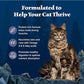 Blue Buffalo Wilderness Grain Free Dry Cat Food 6 lb Bag High Protein Chicken Recipe for Adult Cats