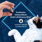 Blue Buffalo Wilderness Cat Food Chicken 11 lb Grain Free High Protein Natural Dry Food for Adults