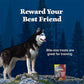 Blue Buffalo Wilderness Wild Bits Salmon Recipe 10 oz Grain Free Training Dog Treats High Protein
