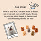 Bocce's Bakery Birthday Cake Dog Treats 5 oz Peanut Butter Vanilla Wheat Free Baked in USA