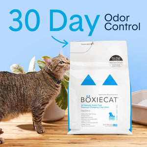 Boxiecat Unscented Clumping Clay Cat Litter 16 lb 30 Day Odor Control Dust Free Flat Top Clumps Fragrance and Filler Free