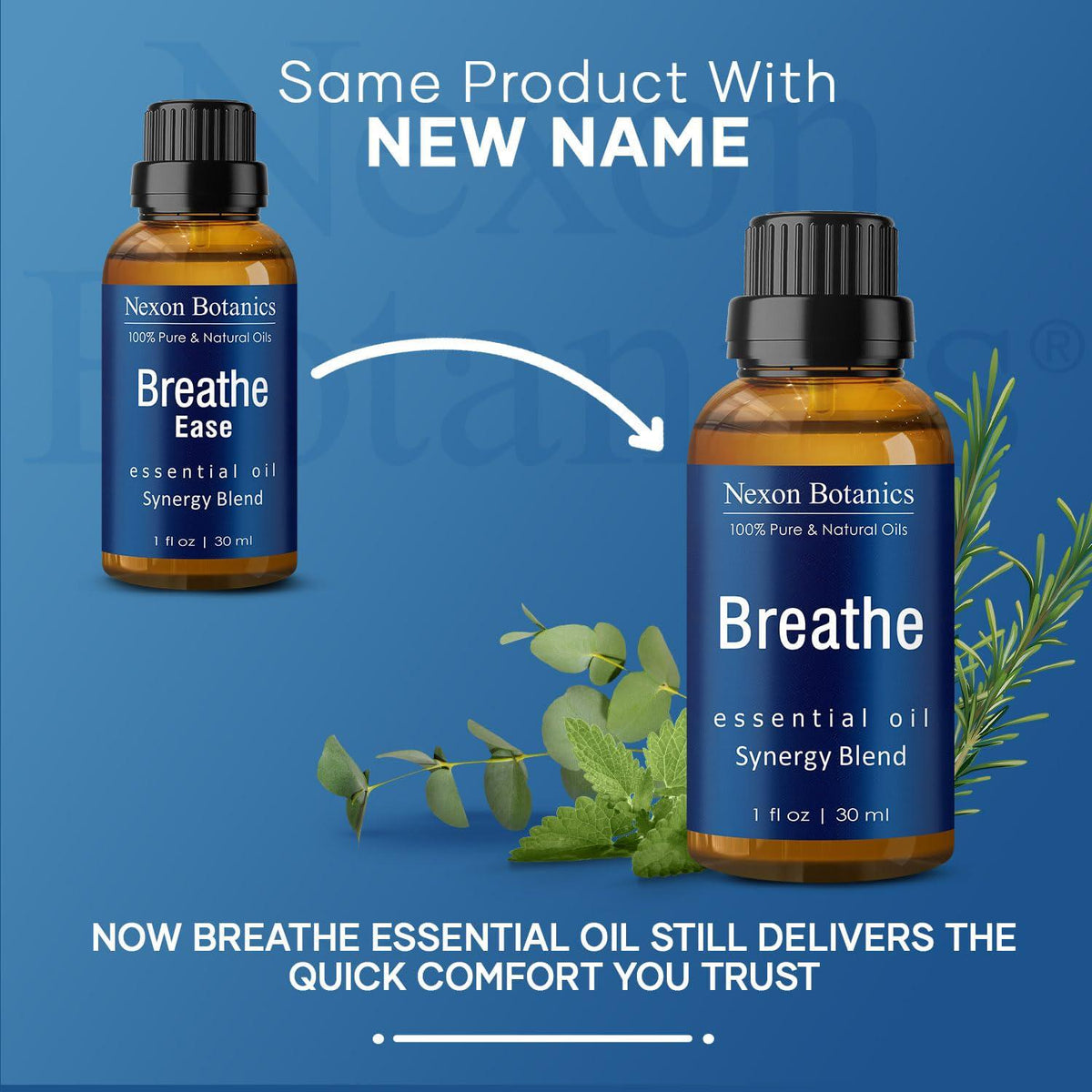 Nexon Botanics Breathe Essential Oil Blend 30 Ml - Breath Sinus Relief With Menthol Oils - For Humidifiers, Diffusers, And Aromatherapy - Nexon Botanics