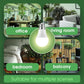 Briignite Grow Light Bulbs, LED Grow Light Bulb A19 Bulb, Full Spectrum Grow Light Bulb, Plant Light Bulbs E26 Base, 11W Grow Bulb 100W Equivalent, Grow Light For Indoor Plants, Seed Starting, 6 Pack,610452987783