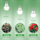Briignite Grow Light Bulbs, LED Grow Light Bulb A19 Bulb, Full Spectrum Grow Light Bulb, Plant Light Bulbs E26 Base, 11W Grow Bulb 100W Equivalent, Grow Light For Indoor Plants, Seed Starting, 6 Pack,610452987783