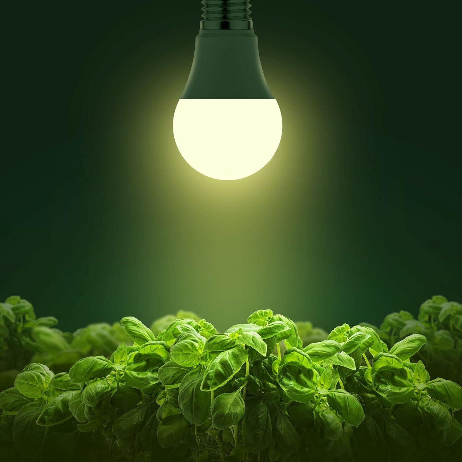 Briignite Grow Light Bulbs, LED Grow Light Bulb A19 Bulb, Full Spectrum Grow Light Bulb, Plant Light Bulbs E26 Base, 11W Grow Bulb 100W Equivalent, Grow Light For Indoor Plants, Seed Starting, 6 Pack,610452987783