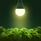 Briignite Grow Light Bulbs, LED Grow Light Bulb A19 Bulb, Full Spectrum Grow Light Bulb, Plant Light Bulbs E26 Base, 11W Grow Bulb 100W Equivalent, Grow Light For Indoor Plants, Seed Starting, 12Pack,