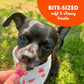 Buddy Biscuit Softies Grain Free Dog Treats Peanut Butter Flavor Soft Chews 5 oz Bag Oven Baked in USA