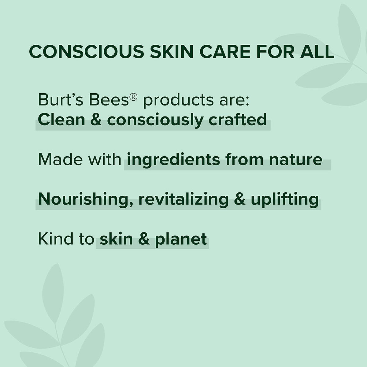 Burt's Bees Essential Everyday Beauty Valentines Day Gifts Set, 5 Travel Size Products - Deep Cleansing Cream, Hand Salve, Body Lotion, Foot Cream And Lip Balm,