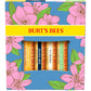 Burt's Bees Valentines Day Gifts Ideas - Balm Bouquet Lip Balm Set, Original Beeswax, Vanilla Bean, Cucumber Mint, Coconut And Pear Pack, Natural Origin Lip Treatment, 4 Tubes, 0.15 Oz.,