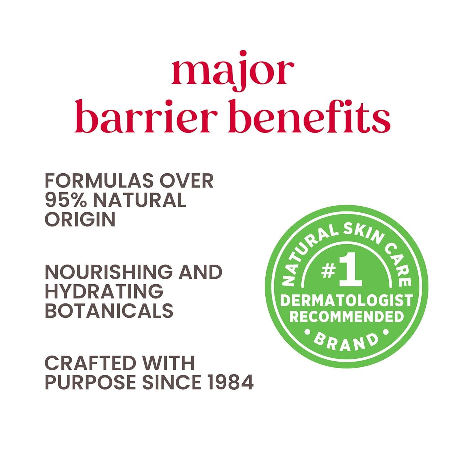 Burt's Bees Valentines Day Gifts Ideas - Balm Bouquet Lip Balm Set, Original Beeswax, Vanilla Bean, Cucumber Mint, Coconut And Pear Pack, Natural Origin Lip Treatment, 4 Tubes, 0.15 Oz.,
