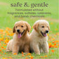 Burt's Bees Tearless Puppy 2-in-1 Shampoo & Conditioner, 16 oz, Natural Puppy Grooming Wash