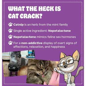 Cat Crack Natural Catnip Blend 1 Cup North American Cat Treat for Toys and Accessories Safe and Additive Free