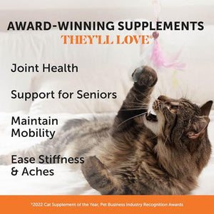 Cat Hip and Joint Chews 30 Day Supply Glucosamine Support for Joint Health Chicken Flavored Crunchy and Creamy Chews