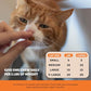 Cat Hip and Joint Chews 30 Day Supply Glucosamine Support for Joint Health Chicken Flavored Crunchy and Creamy Chews