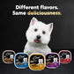 Cesar Wet Dog Food Variety Pack 36 Trays 3.5 oz Grilled Chicken Filet Mignon Turkey and Beef in Classic Loaf Sauce