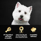 Cesar Wet Dog Food Variety Pack 36 Trays 3.5 oz Grilled Chicken Filet Mignon Turkey and Beef in Classic Loaf Sauce