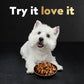 Cesar Wet Dog Food Filets in Gravy Variety Pack, 1.76 oz x 40 Mini Pouches, Chicken, Mignon, Grilled Flavors