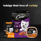 Cesar Wet Dog Food Filets in Gravy Variety Pack, 1.76 oz x 40 Mini Pouches, Chicken, Mignon, Grilled Flavors