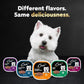 Cesar Filets in Gravy Wet Dog Food Filet Mignon NY Strip Prime Rib Flavors 3.5 oz 24 Count Pack of 1