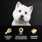 Cesar Home Delights Wet Dog Food Variety 24 Trays 3.5 oz Pot Roast Beef Stew Turkey Chicken Noodle