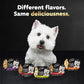 Cesar Simply Crafted Wet Dog Food Chicken Meal Topper 1.3 oz 10 Count Pack Tasty Adult Dog Add-On Meal