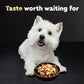 Cesar Simply Crafted Wet Dog Food Chicken Meal Topper 1.3 oz 10 Count Pack Tasty Adult Dog Add-On Meal