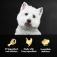 Cesar Simply Crafted Wet Dog Food Chicken Meal Topper 1.3 oz 10 Count Pack Tasty Adult Dog Add-On Meal