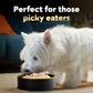 Cesar Simply Crafted Wet Dog Food Chicken Meal Topper 1.3 oz 10 Count Pack Tasty Adult Dog Add-On Meal