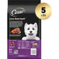 Cesar Dry Dog Food for Small Breeds, Filet Mignon Flavor with Veggies, 5 lb Bag