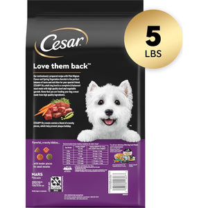 Cesar Dry Dog Food for Small Breeds, Filet Mignon Flavor with Veggies, 5 lb Bag