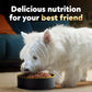 Cesar Dry Dog Food for Small Breeds, Filet Mignon Flavor with Veggies, 5 lb Bag