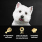 Cesar Wet Dog Food Variety Pack 12 Trays 3.5 oz Each Classic Loaf in Sauce Breakfast and Dinner Flavors Easy Peel Pack of 1