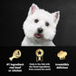 Cesar Wet Dog Food Variety Pack, 24 Trays, Beef, Chicken, Porterhouse, 3.5 oz, Classic Loaf