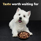 Cesar Wet Dog Food Variety Pack Home Delights and Classic Loaf 3.5 oz 36 Count Pack of 2