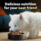 Cesar Wet Dog Food Variety Pack Home Delights and Classic Loaf 3.5 oz 36 Count Pack of 2