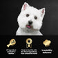 Cesar Wet Dog Food Variety Pack Home Delights and Classic Loaf 3.5 oz 36 Count Pack of 2