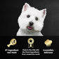 Cesar Wet Dog Food Variety Pack Loaf in Sauce 3.5 oz Trays Pack of 24