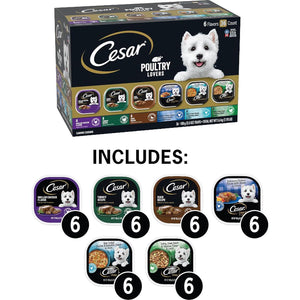 Cesar Wet Dog Food Poultry Lovers Variety Pack Chicken Turkey Duck 3.5 oz Trays 36 Count