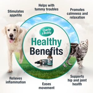 Charlie & Buddy Hemp Oil, 1?Pc, Calming Pet Treats for Dogs & Cats, Natural Relief for Stress, Arthritis & Seizures