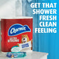 Charmin Flushable Wipes, 480 Total Wipes (12 Packs of 40), Soft & Strong, Convenient & Hygienic for On-the-Go Freshness